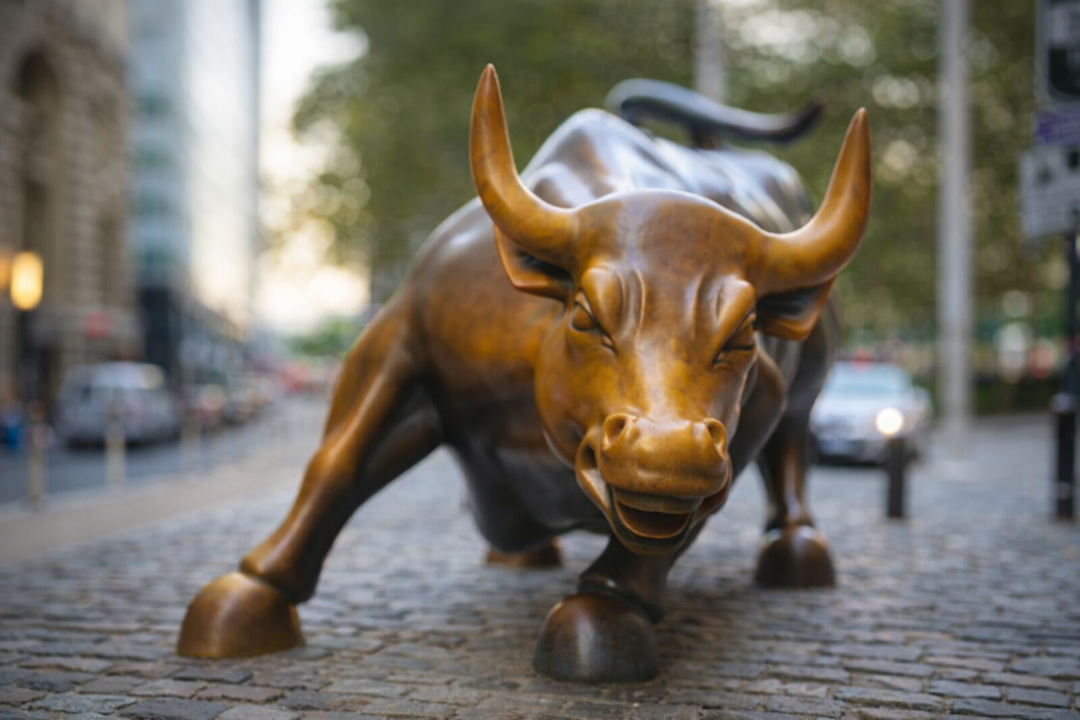 It Might Be Time to Take Your Company Public — And Quietly, There’s Never Been a More Interesting Time to Do It